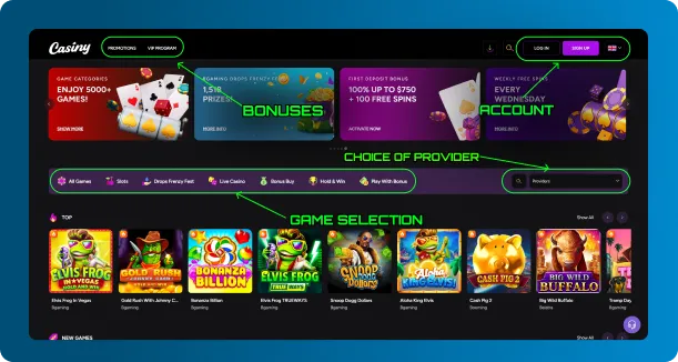 Interface Casiny Casino Online